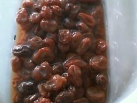 日本酒レーズン